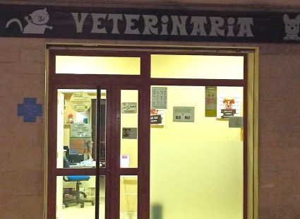 Clinica Veterinaria Dulantzi (Alegria)-min