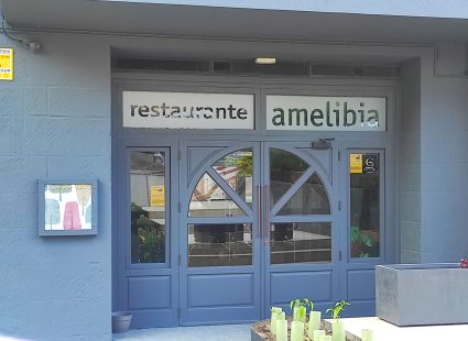 Restaurante Amelibia (Laguardia) (1)-min